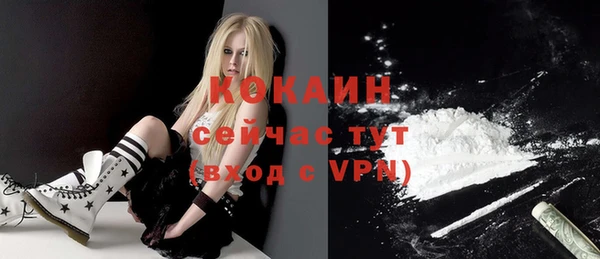 мдпв Белокуриха