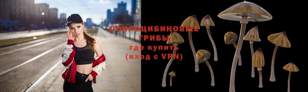 соль курить ск Снежногорск