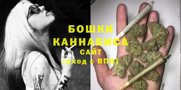 мдпв Слюдянка
