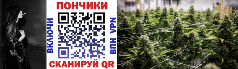 Бошки Шишки план  купить наркоту  Константиновск 